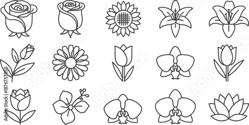 Collection of 12 different flower line drawings