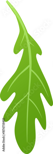 Green arugula leaf indicating healthy eating and freshness