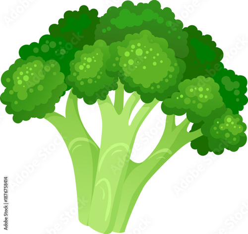 Broccoli illustrating healthy eating and fresh green vegetable nutrition