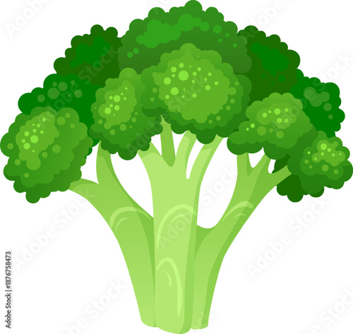 Fresh green broccoli vegetable illustration symbolizing healthy eating