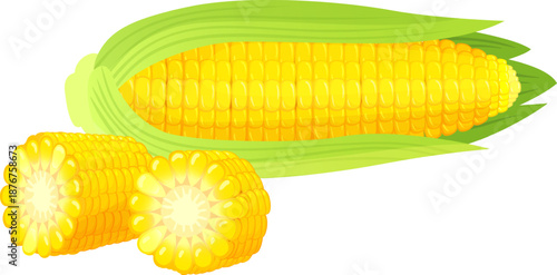 Corn on the cob with fresh kernels and cut halves