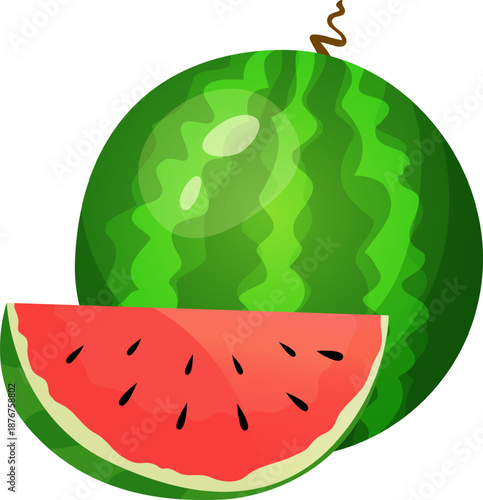 Watermelon fruit with a fresh juicy slice