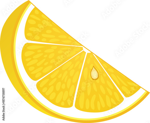 Fresh yellow citrus fruit slice vector illustration