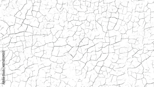 Intricate network of fine grey cracks spread across a white surface creating a detailed abstract background texture with a sense of organic decay and fragility