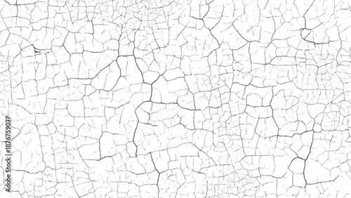 White surface with a complex, interconnected web of fine grey cracks creating a detailed abstract background texture with a sense of age and fragility