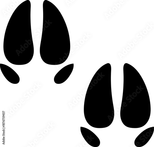 Deer track footprint showing wildlife presence in nature