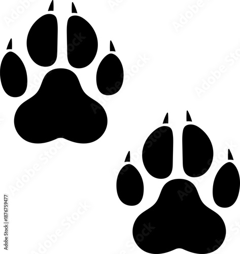 Black paw prints tracing animal presence and wildlife