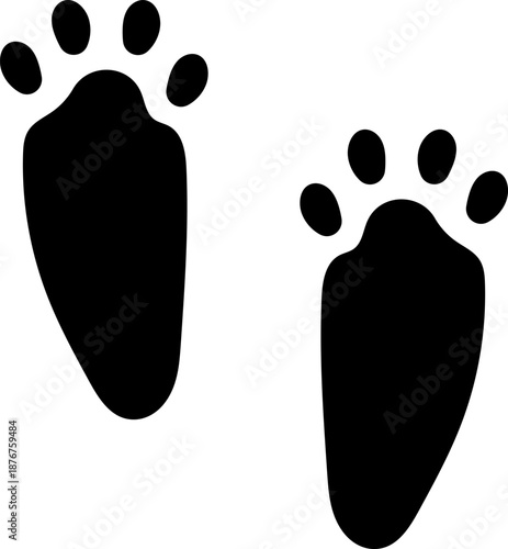 Animal paw prints leaving footprints on white background