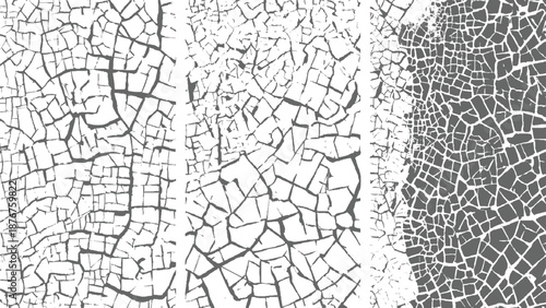 Dense and complex pattern of numerous fine cracks and irregular polygonal shapes creating a highly detailed textured surface in monochromatic gray and white