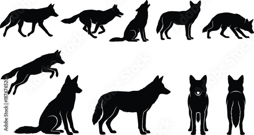 Canine, silhouette, walking, running, crouching, sitting, leaping, standing, front view, rear view, animal, pose, behavior, black, vector, nature, mammal, motion, illustration, design, clipart