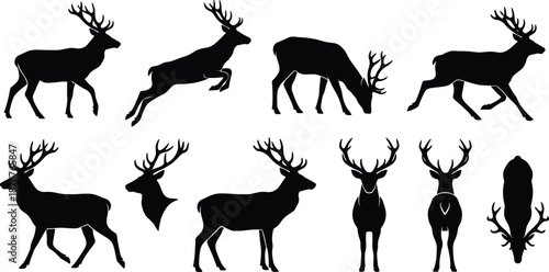 Deer silhouette collection, antlered wildlife poses, black deer shapes, standing walking running leaping, head side rear views, nature illustration