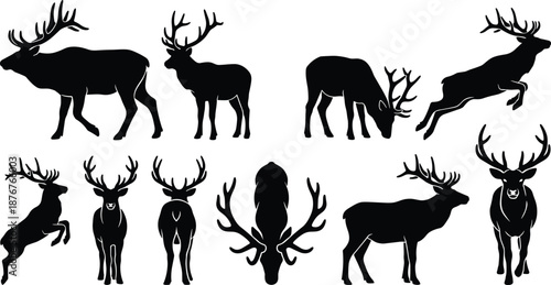 Deer stag silhouette bundle with antlers showing walking standing grazing jumping running poses wildlife animal vector illustration isolated background