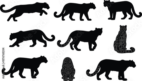 Leopard silhouettes, cheetah poses, walking, standing, crouching, spotted fur, animal motion, nature illustration, gray background, feline anatomy study