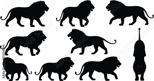 Lion silhouettes, walking, standing, profile view, front view, mane variations, animal posture, nature illustration, gray background, creative design