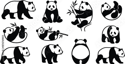 Panda illustration set, black white poses, sitting walking climbing lying, eating bamboo, cute panda actions, wildlife behavior, nature design