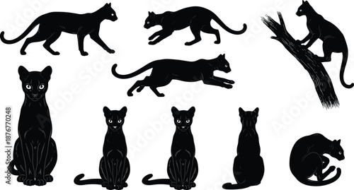 Panther silhouettes, walking, running, sitting, crouching, climbing, animal motion, wildlife anatomy, nature illustration, gray background, design interface