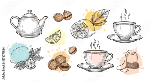 Collection of hand drawn tea elements including a teapot, cups, lemon slices, and nuts with artistic watercolor splashes.
