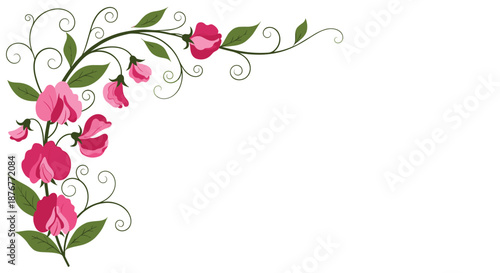 Beautiful floral corner border featuring pink sweet pea blossoms and delicate swirling green vines on a clean white background for invitations.