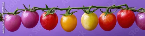 Panel kuchenny z motywem Variety of colorful tomatoes on vine against purple background