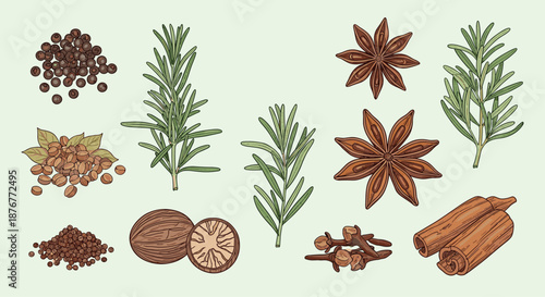 Comprehensive set of aromatic spices and herbs including rosemary, star anise, cinnamon, cloves, pepper, and nutmeg in color.