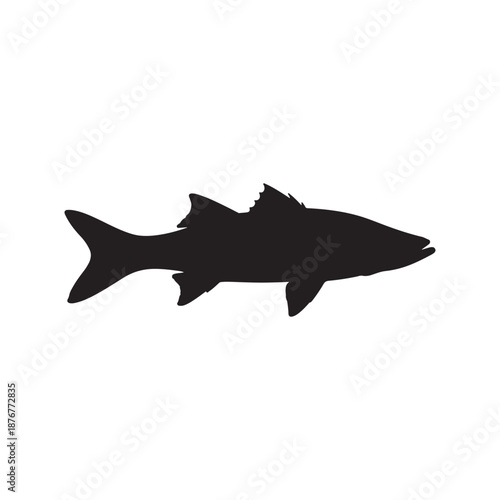 Snook Fish silhouette vector art white background