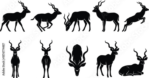 Antelope silhouette collection showing walking running grazing jumping standing poses wild savanna wildlife animal vector illustration isolated background gray design