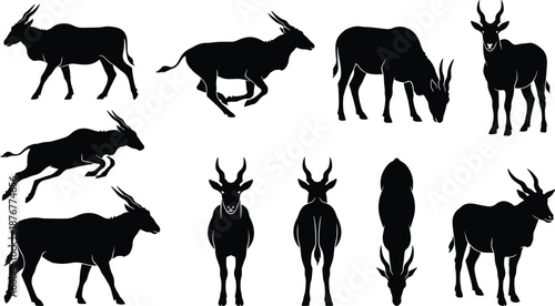 Antelope silhouette set showing walking running grazing jumping standing poses wild savanna animal wildlife vector illustration isolated background