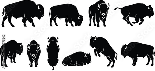 Bison silhouette set showing walking running grazing standing resting jumping poses wild American buffalo wildlife animal vector illustration