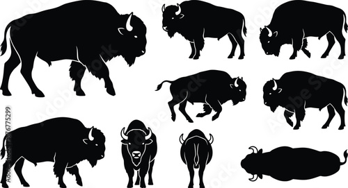 Bison silhouette set showing walking running grazing standing resting poses wild American buffalo wildlife animal vector illustration isolated background