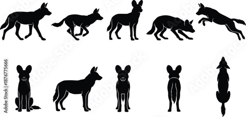 Canine, silhouette, walking, standing, crouching, leaping, sitting, lying, alert, side view, front view, rear view, animal, pose, behavior, black, vector, nature, mammal, motion