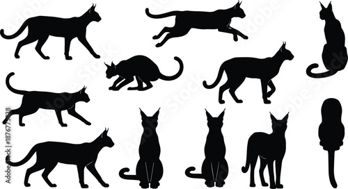 Cat silhouettes, walking, running, crouching, sitting, standing, feline motion, animal posture, nature illustration, gray background, behavior study