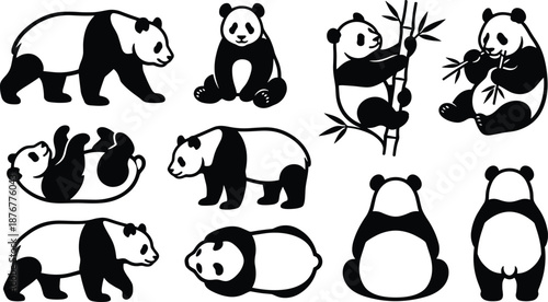 Cute panda silhouette set showing walking sitting eating bamboo playing resting poses cartoon wildlife animal vector illustration isolated background