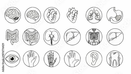 Collection of Hand Drawn Human Organs and Body Parts Icons.