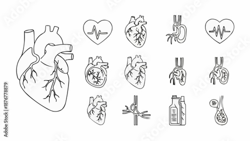 Collection of hand-drawn anatomical heart illustrations and medical icons.
