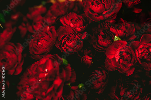 Εκτύπωση καμβά Close up of deep red carnations in dense arrangement