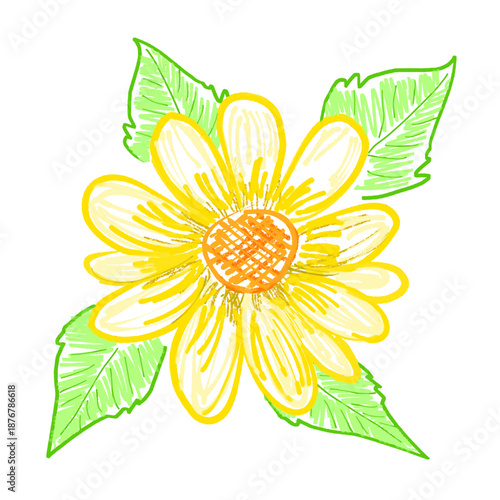 yellow flower sketch with leaves without background