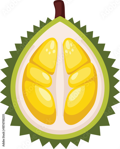 A vibrant graphic illustration of a durian fruit cut open to reveal its yellow flesh and seeds inside, showcasing its unique spiky outer skin