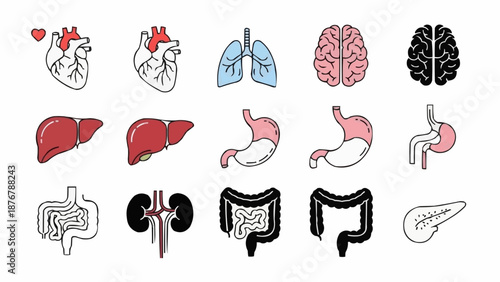 Collection of Human Internal Organs Illustrated Medical Icons.