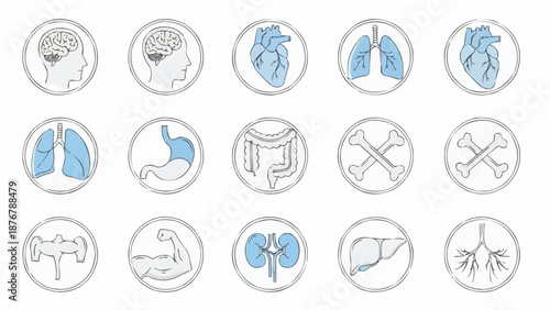Collection of Human Organ Icons and Medical Symbols.