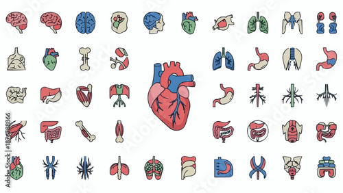Collection of Human Organs and Body Parts Icons.