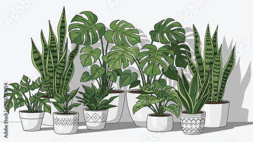A collection of various potted houseplants, including snake plants and monstera, creating a lush indoor garden aesthetic.