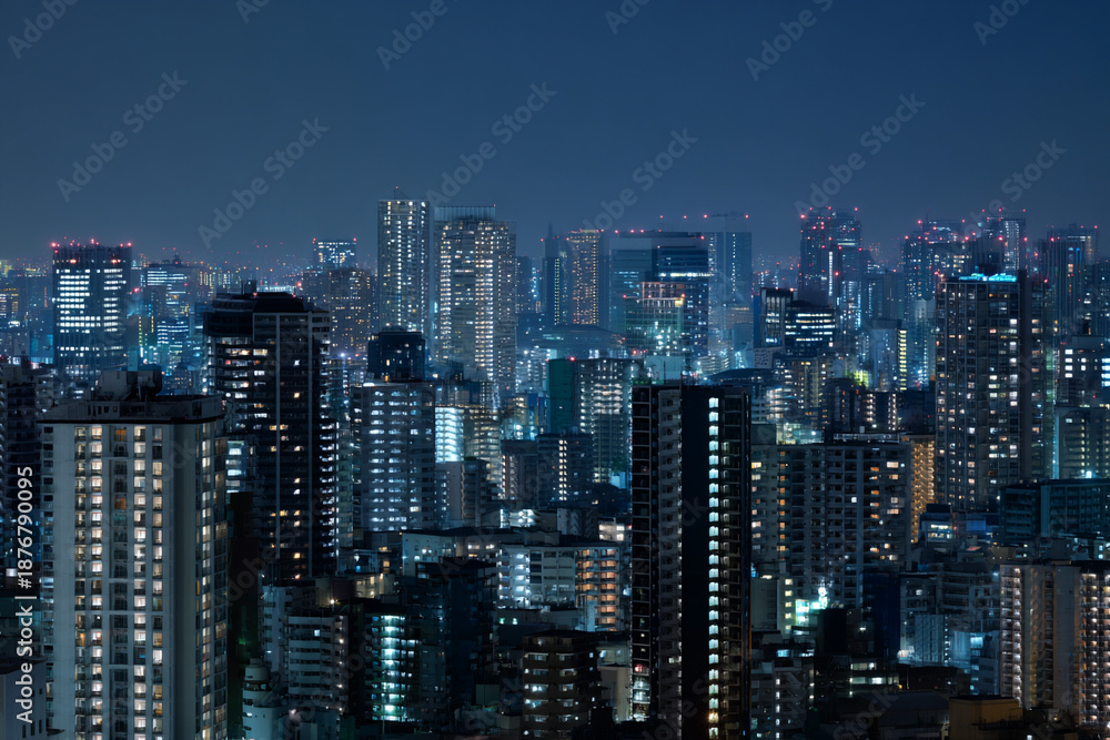 Fototapeta Big city landscape with skyscrapers.