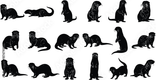 Otter silhouette set in multiple poses, cute aquatic mammal wildlife collection, standing and sitting animals, black figures isolated on white