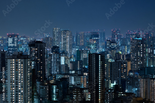 Big city landscape with skyscrapers.