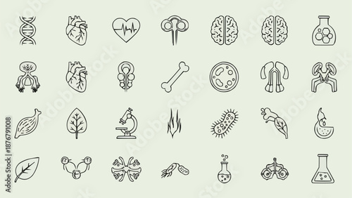 Collection of Medical and Scientific Icons.
