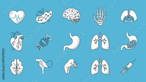 Collection of Human Organs and Medical Icons.