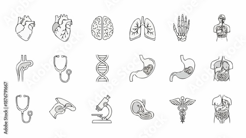 Collection of Medical and Anatomical Icons for Healthcare and Science.