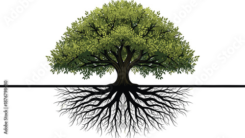 Detailed vector illustration of a green leafy tree with a mirrored intricate root system against a white background.