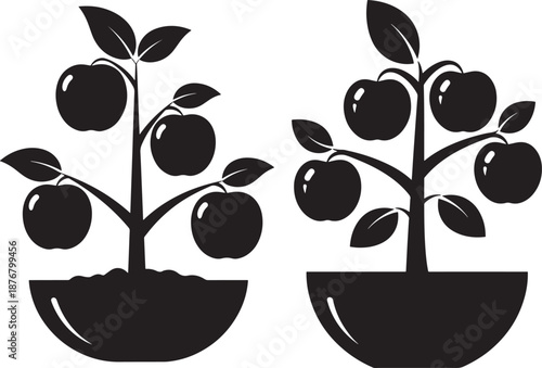 Silhouette of apple trees with fruits in the pots