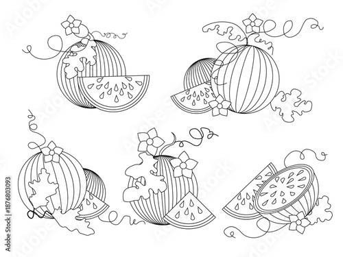 Isolated set of hand drawn watermelon. Simple line Floral print. Sketch juicy lices, leafs and blossoms. Exotic tropical fresh fruit. Vector cartoon minimalistic flat style illustration Doodle pattern